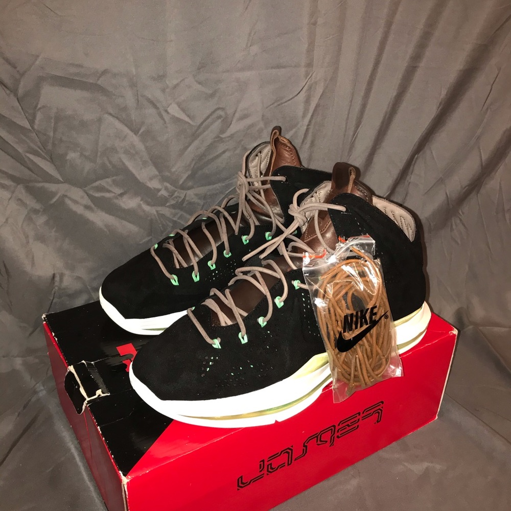 Lebron x like new pass for ds